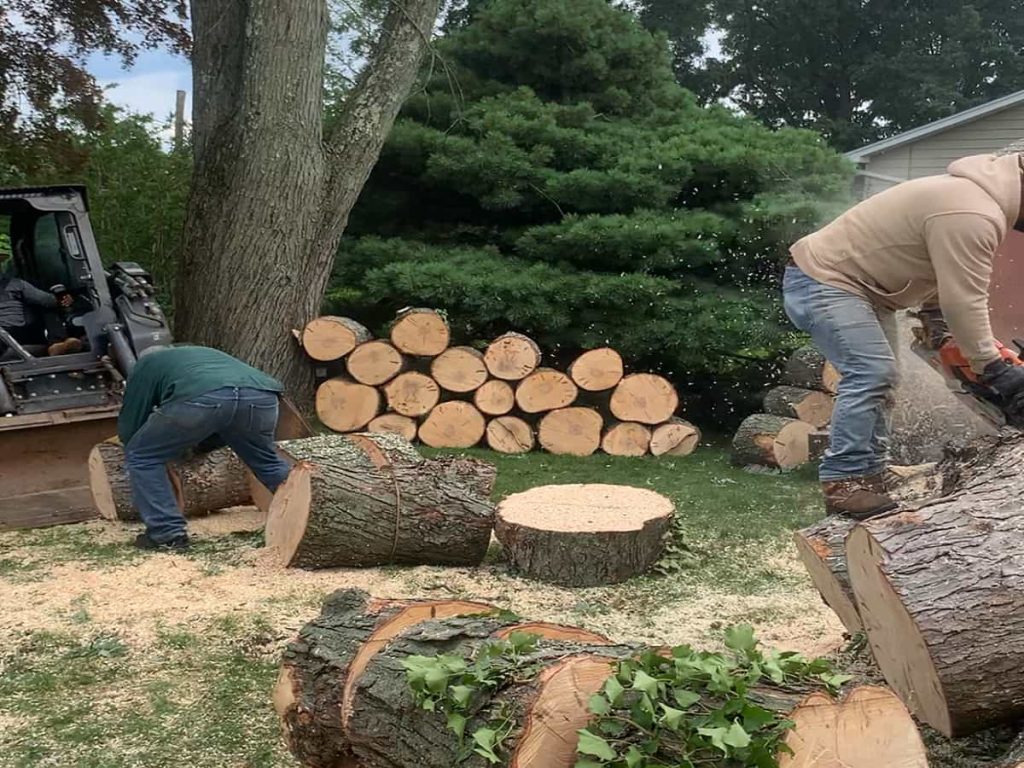 24/7 Emergency Tree Service
