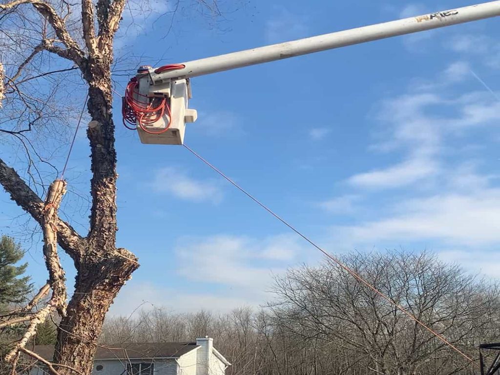 Bucket Truck Climbing