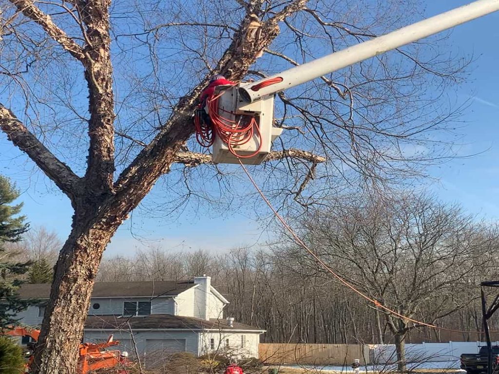 Bucket Truck Climbing