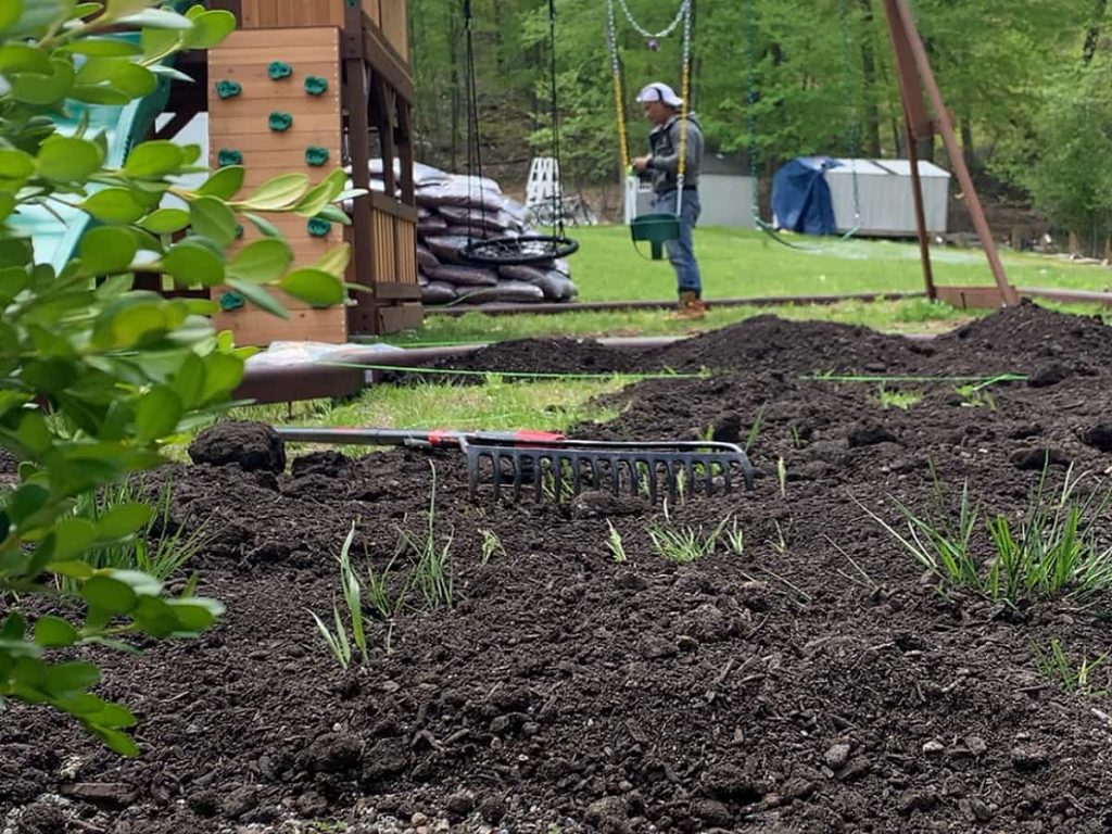 Planting