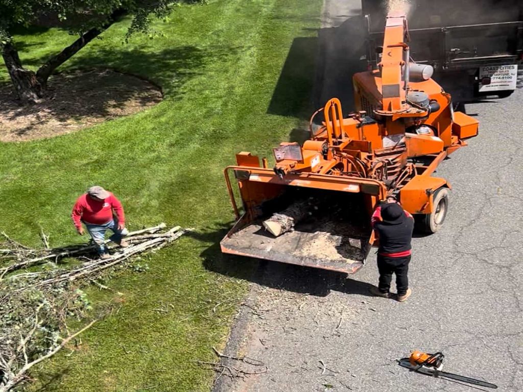 Storm Debris Removal