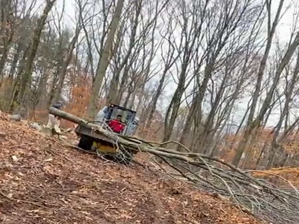 Storm Debris Removal