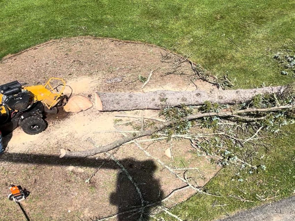 Stump Grinding