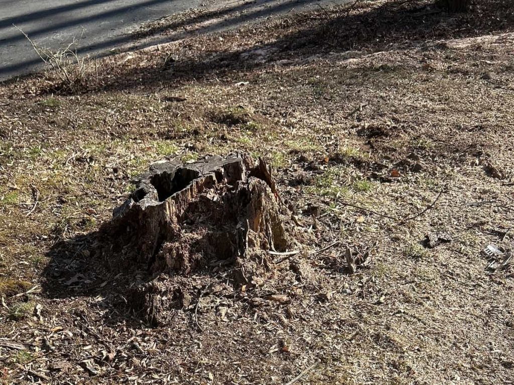 Stump Grinding